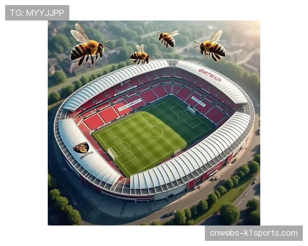 英超俱乐部联合发起“社区球场”计划，投资基层足球设施